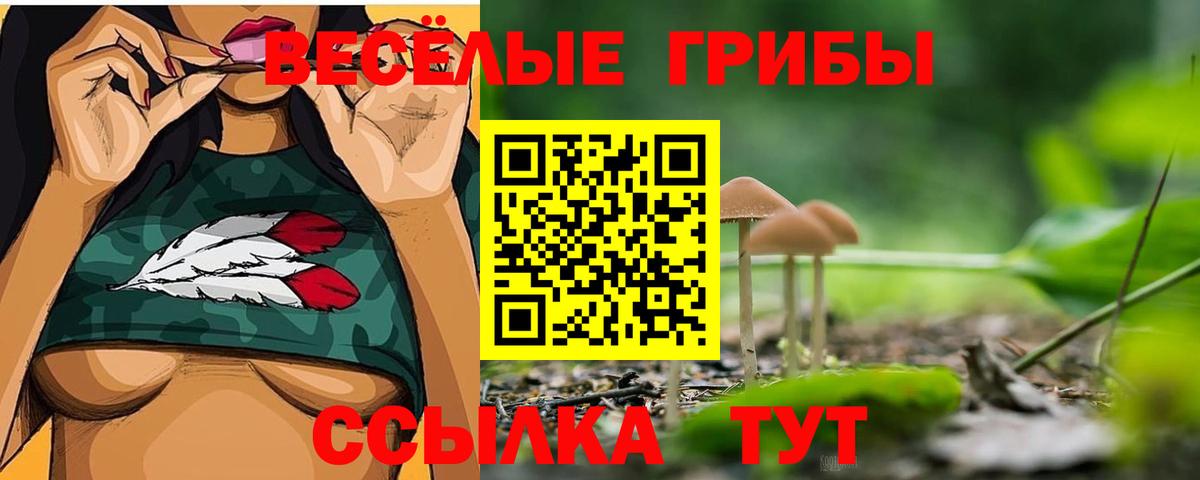 Псилоцибиновые грибы Psilocybe Южноуральск